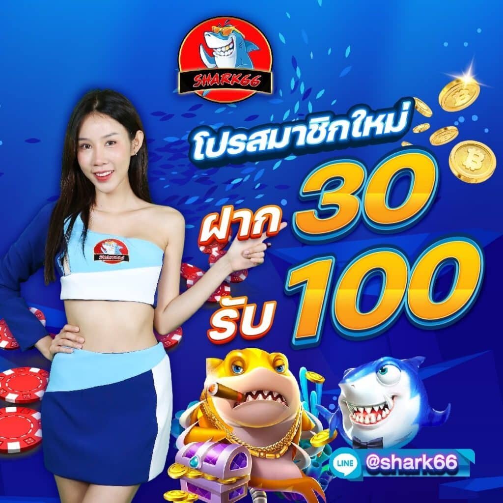 PGZeed Game คาสิโนออนไลน์ ยอดนิยม สมัครง่าย พร้อมโปรโมชั่นสุดคุ้ม