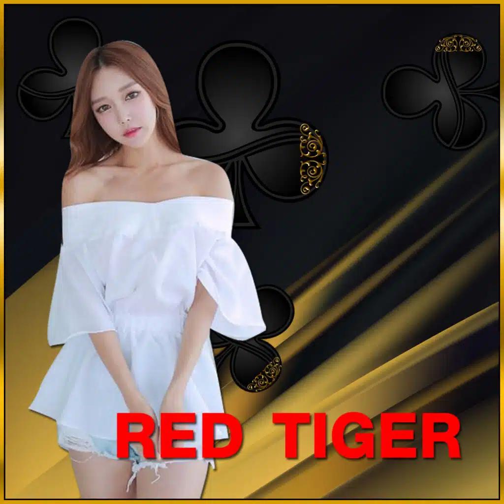 Slot Joker888 คาสิโนออนไลน์ยอดนิยม รวมเกมสุดล้ำสีสันแตกต่าง