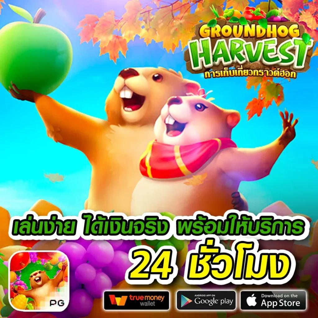 z16 เครดิตฟรี88 สมัครง่ายรับโบนัสเต็มจำนวน พร้อมโปรโมชั่นสุดคุ้ม