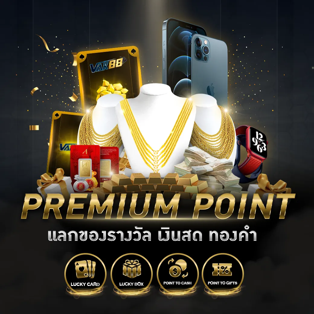 สกอบอล เว็บคาสิโนยอดนิยม ทำกำไรสูงสุด ด้วยระบบทันสมัยแห่งปี 2024
